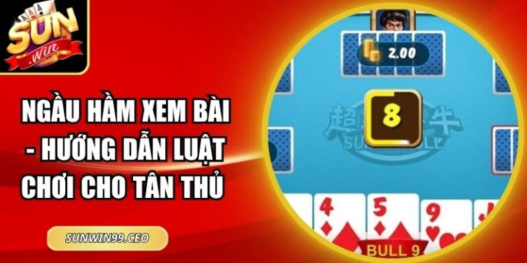 Ngầu Hầm Xem Bài - Hướng Dẫn Luật Chơi Cho Tân Thủ